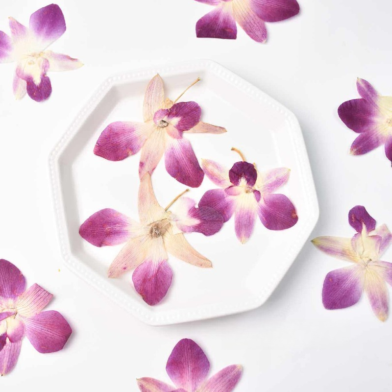 4pcs,Real Pressed Butterfly Or - đánh giá và giá Resin Art Baby