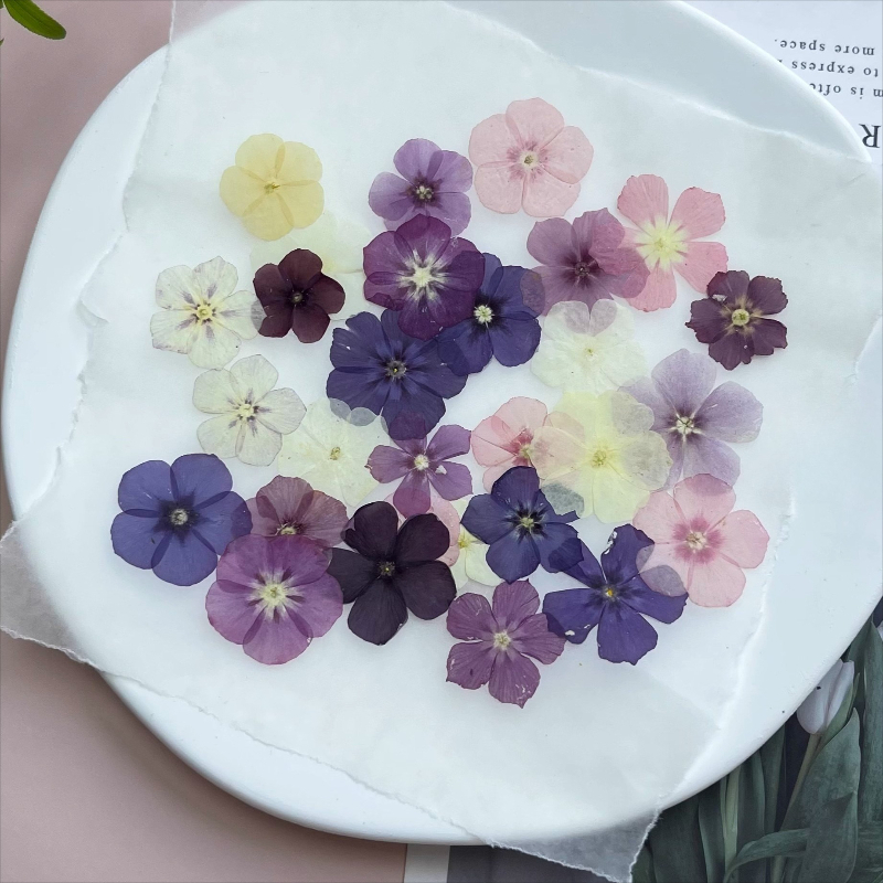 12pcs,Semi-Transparent Niche P - đánh giá và giá Resin Art Baby